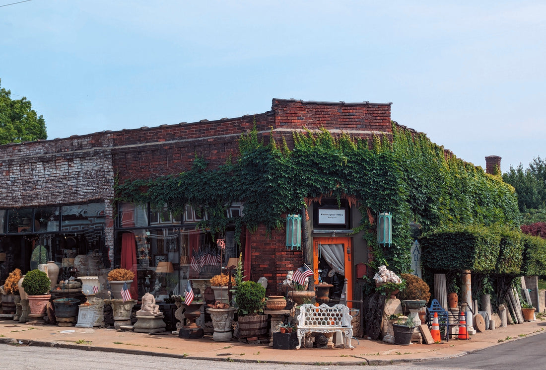 Apple Music x Lauryn Hill